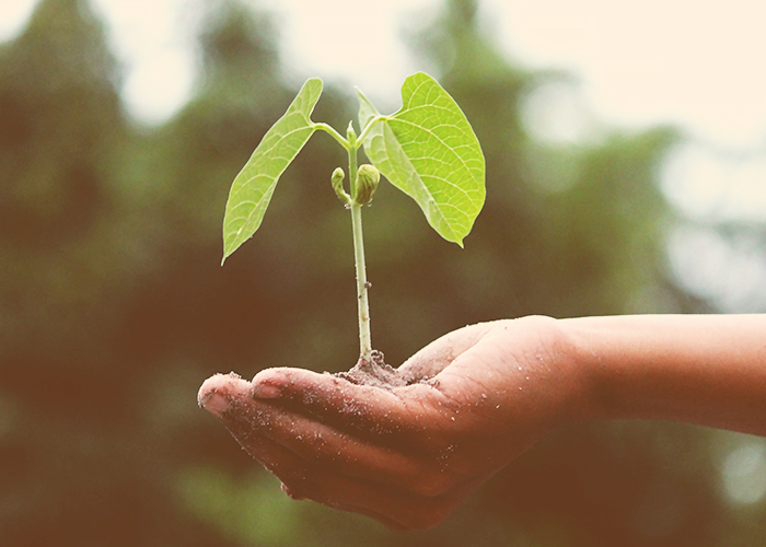 Psicoterapia significa curare i disurbi psicologici, di disadattamento e disagio.